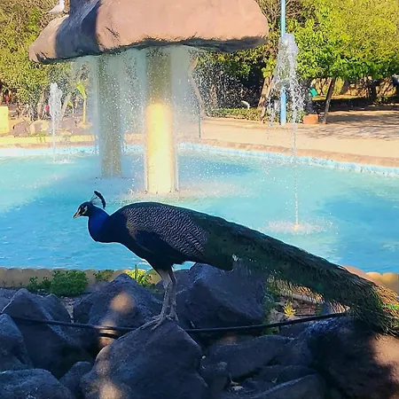 Jardin , Chill Casa *