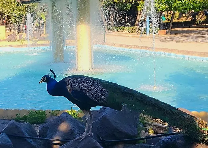 Jardin , Chill Casa *